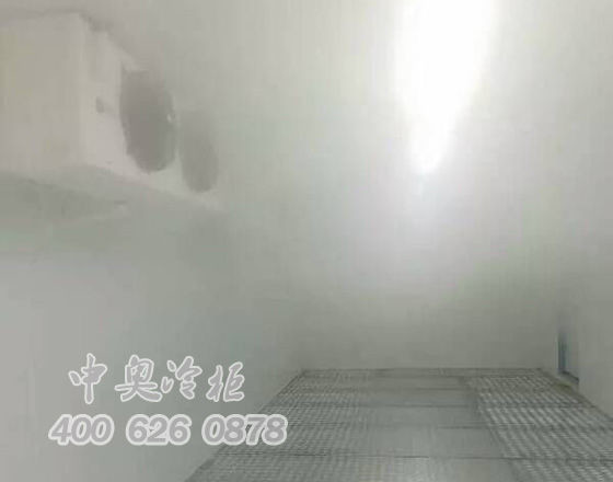 中奧冷柜廠家雪糕冷凍庫3